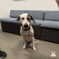 09806b7a26800287d513f5ce363665669718f86bcc6f245cd40820fca71bf776.gif