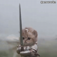 100c50b629315ebde12f8b2a72fce63a1ecc29218931f2e4cc47fc6c0eb2b44b.gif