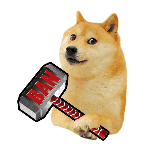 1748df758e5cb28cc764349c3216faf56d09eb8e51b7564ff3af0419dac0c87a.gif