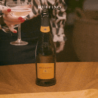 2350b98b62a8ab69bad71b6819a6e823a09bf1a70d9a41fbdc872ad9d05e573a.gif
