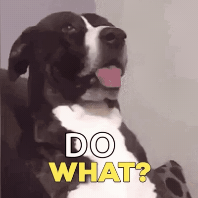 341b578792cb7da8caaa045df02567a9b82f791d6003cdd50b6c094b9018b544.gif