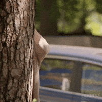 48b98dfb20e6ab37e95e35c4737aa27034c818f990a84f6db858e56d003397d5.gif
