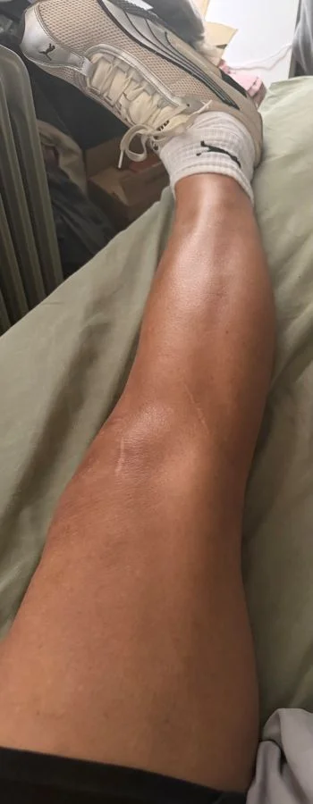 5e320e08566baf747f0c0ee9a6660ebdd26b97e53225c60711cbd4c49fb4d774.webp
