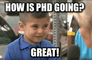 6b12ec2c5010d1666a21f854730e8d31c425c48929154cf4b93699c23aea13fb.gif