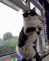 7537d1b27130b2d4c5588b6d6829538c12d674eb9172b4acedce3a61c3f98c4f.gif