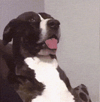 7f08b00700d8a95c286433b14f8bea852b8de38d25a75929fcbcddb4674322ed.gif
