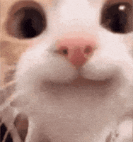 9d56f60ae0df5df6b5a40ff50753a2c895274f0bc3a5c921bf272398f632668e.gif