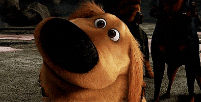 9f474b971189cfa2f1147ca7ef2d2d64ee54a028a5e91225d1f6e6b7fc571f8c.gif