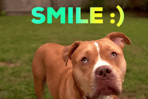 a4cc06def4c05cdf08db4b91fbfe4fb35f5b900712dfd8cd68857b19f371df03.gif