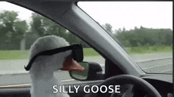 b447b8db981ed4ef1c9346dbc2a6d90a477ac0d2868e6c812347b3453c46e2e4.gif