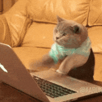 bc91f2a749ad6c850ce3e9633c4cd943239a6eaec6df44682cea281401cec104.gif