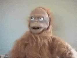 bcf77916445a6c480d379ddcb307302f8b1437e8c12606197059d941b2534f2c.gif