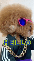 c91fc9e054b5e63a3443b2719b93b5775d9e76db1a5d48d57d199723221426a7.gif