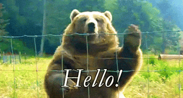 cf8053caab6b6c85110fa9ce0137c2e19eb72a8658ddba9d325635a445fcfe38.gif