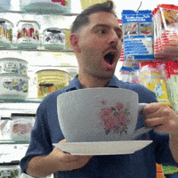 d08c43abfad4a60288d873de8e843af424a6e037a91e4c0e6433c08e43f7dde2.gif