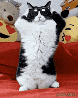 dea6a6e901b7e9ee1230272a13e779a1a1bbed0b3150f31b0f26d80122aa5d92.gif