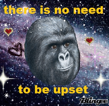 e05b1ff1932ea8f3bce7a796f3c68b90af82dbb29cd9526b77ffd3545ddc3ec5.gif
