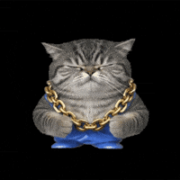 ea36bcb0b3956f163b09cc24cb30277fb9085bb907e6aea04cbf202fc2b06e6e.gif