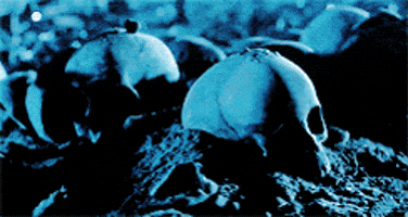 eea05e8a842537c3ee30cf9dd61c7957420b3dfb843c648318180cb733de97f9.gif