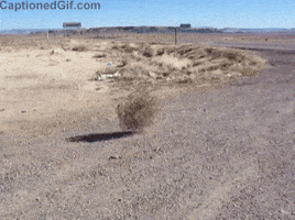 ff0e259f51694d8855f78f3994b5dc06eda8d4fabea0128db24a6488c03fa5a4.gif