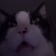 Wacky
