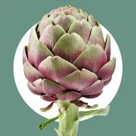 Artichoke