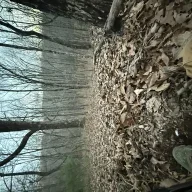 tennesseevol1992
