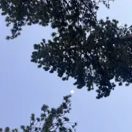 MoonGazer