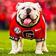 tampa_dawg