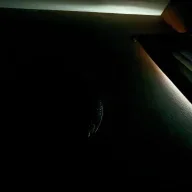 saywhatcle13