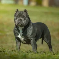 BarC-Tx