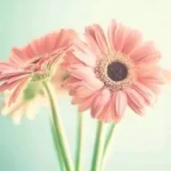 NaomiFbacc2