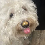 corbin