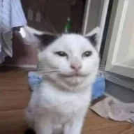SIMBA