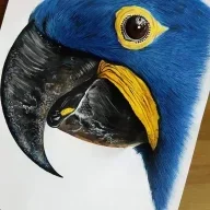 ShadowKH