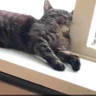 mmddff
