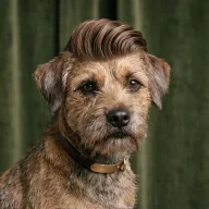 stockriderman