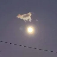 loopymcgee