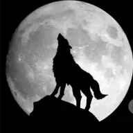 Lobos44