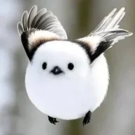 bigbirdlittlebird