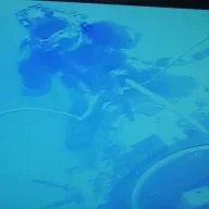 Satdiver