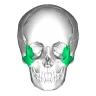 Clavicular's Hammer
