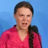 flipperdosan