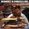 308fan