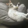 Ragnar