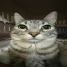 leo_123