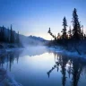 NevadaBob
