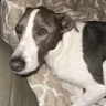 Thedooman445