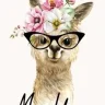 mamallama