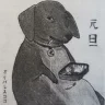 jesuisperdu